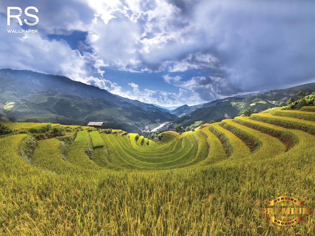 วอลเปเปอร์ ภาพภูเขา J-PREMIUM(สั่งผลิต)