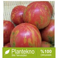 No Solution Tomato 20 เมล็ด