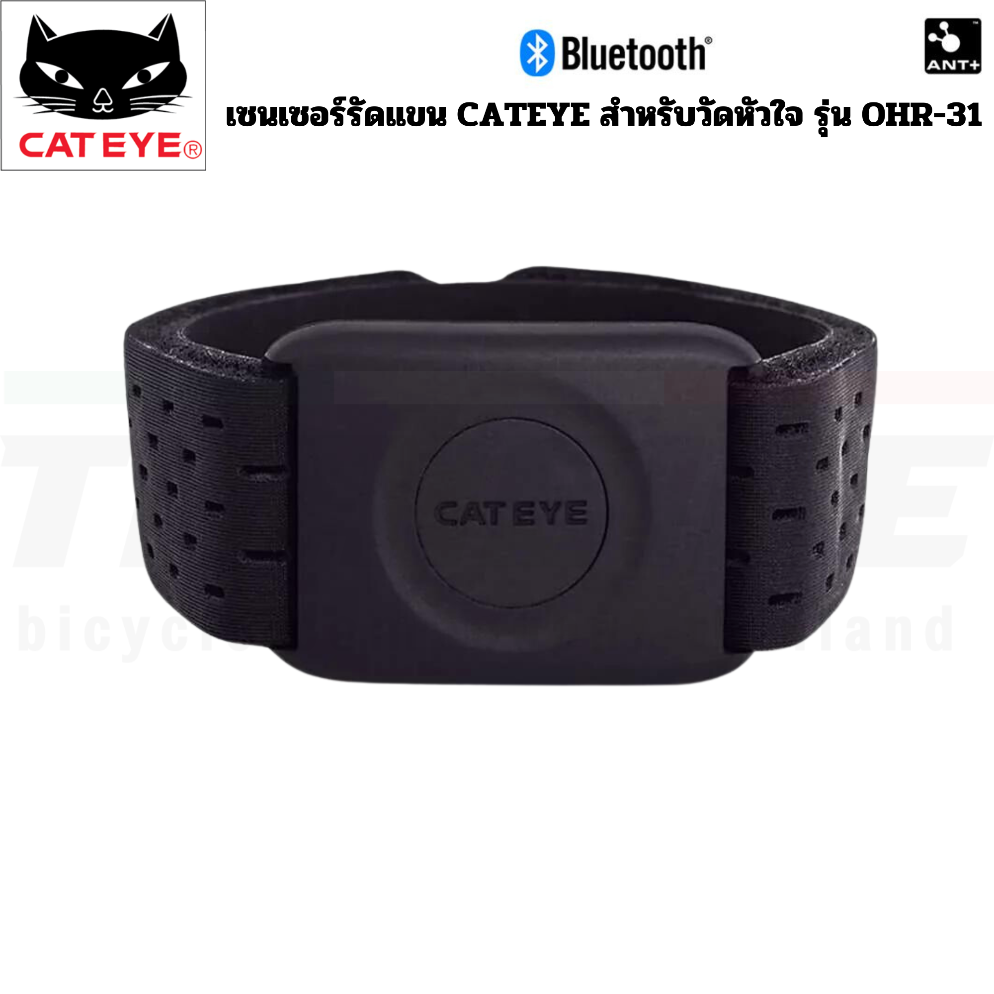 เซนเซอร์วัดหัวใจแบบรัดแขน CATEYE OHR-31 Bluetooth และ Ant+ สายรัด