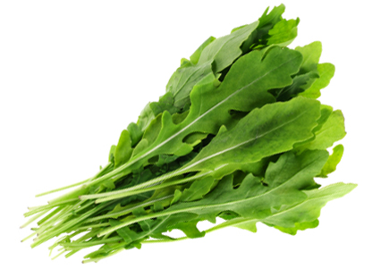 ผักสลัดร็อคเก็ต rocket lettuce