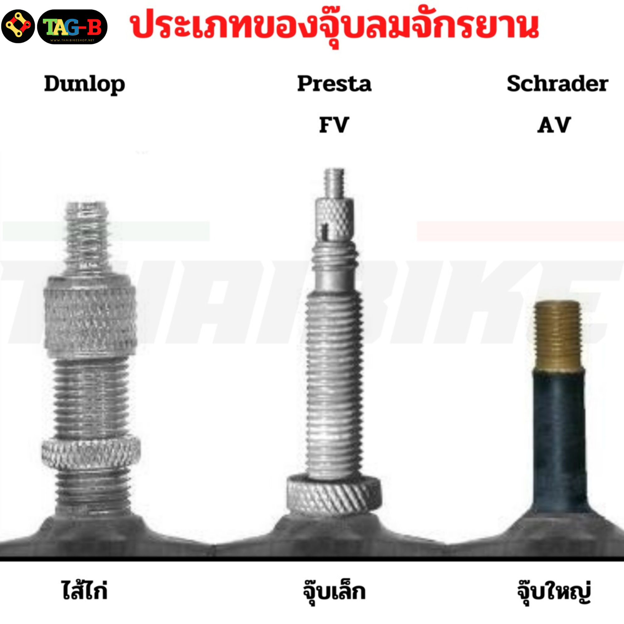 ยางในจักรยาน 700C SCHWALBE 700X28C-45C SV17 AV17 จุ๊บเล็ก จุ๊บใหญ่