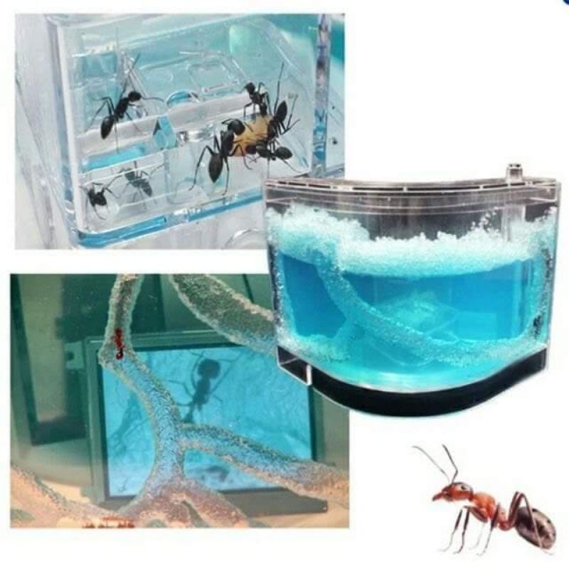 บ้านมด บ้างเลี้ยงมด ที่เลี้ยงมด 🐜ค่าส่งถูก❤️พร้อมส่งจาก กทม ❤️ส่งไวมากคะ