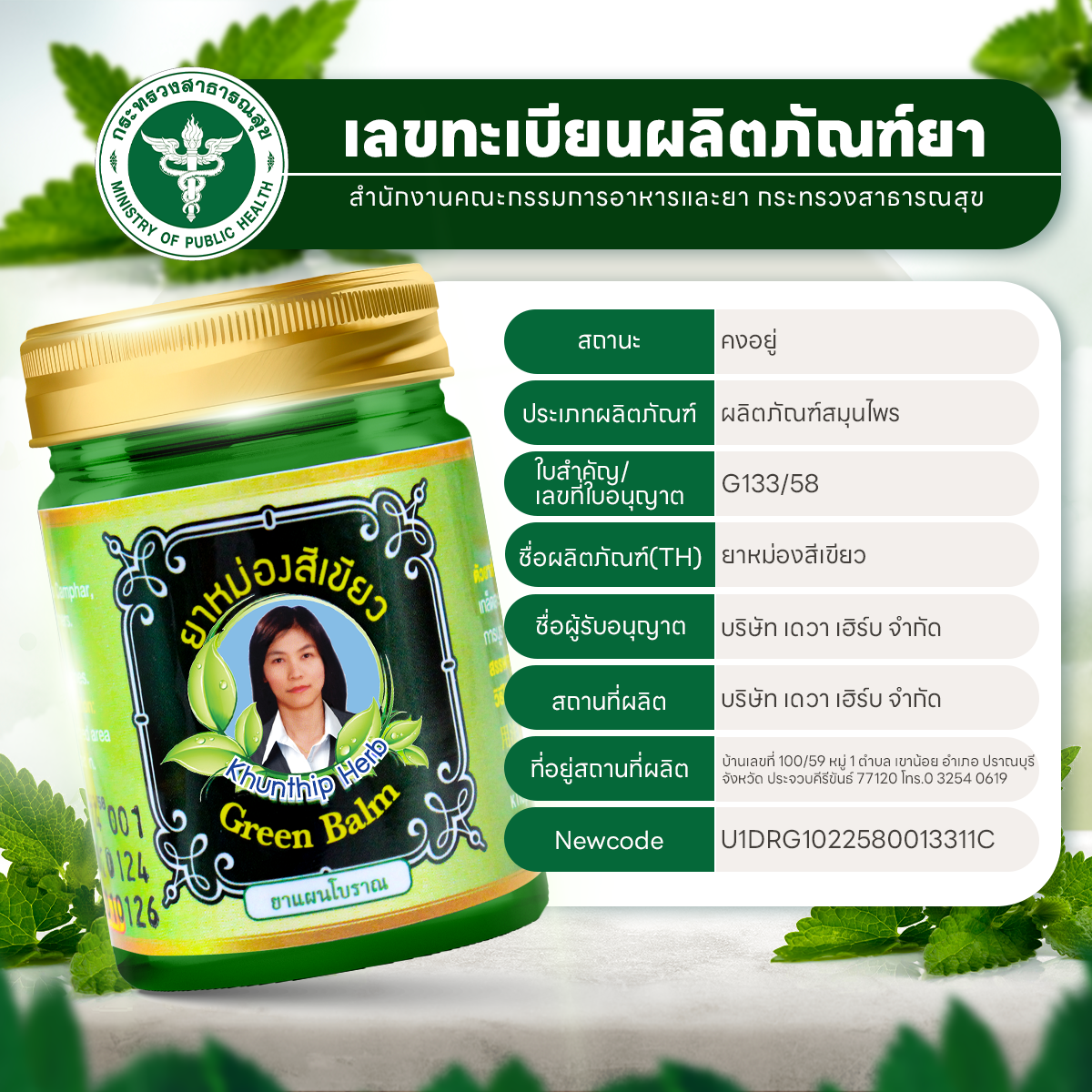 ยาหม่องสีเขียว (Khunthip Green Herbal Balm) ยาหม่องน้ำมันสีเขียว ตราคุณทิพย์ ขนาด 50 กรัม