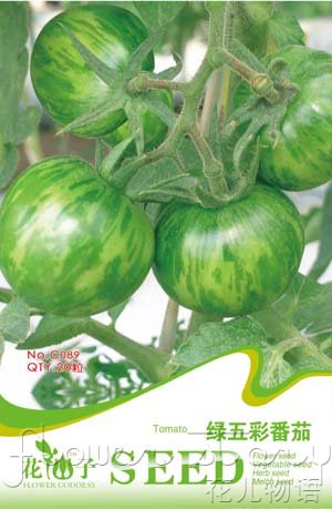 Tang Colorful Tomato 20 เมล็ด