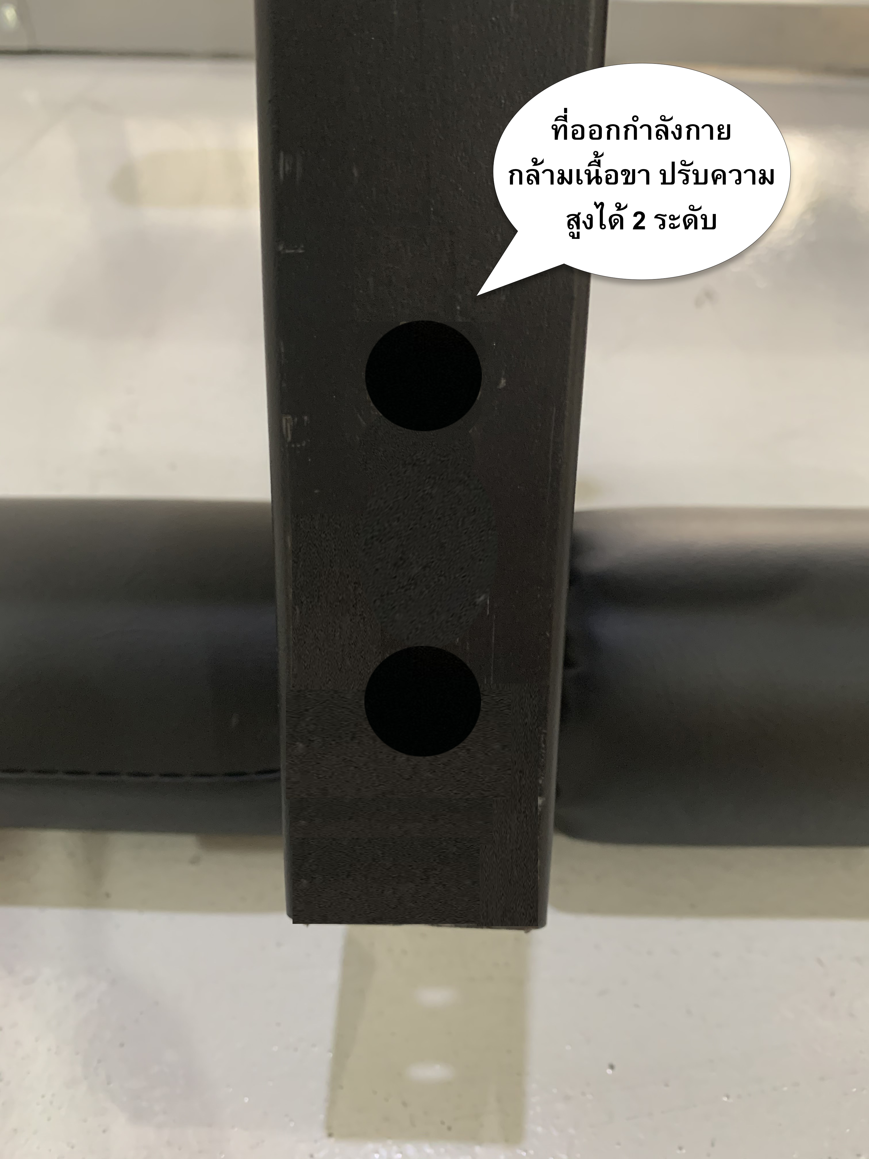 ม้าดัมเบลรุ่น 204