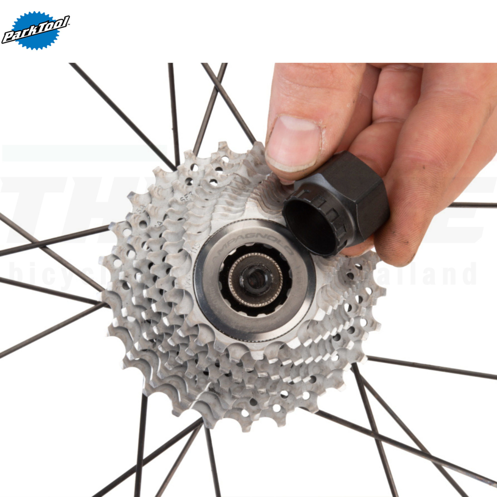 เครื่องมือถอดเฟืองจักรยาน PARK TOOL FR-5.2 FR-5(SHI) FR-1.2(SHI) FR-11(CAMPAGNOLO)