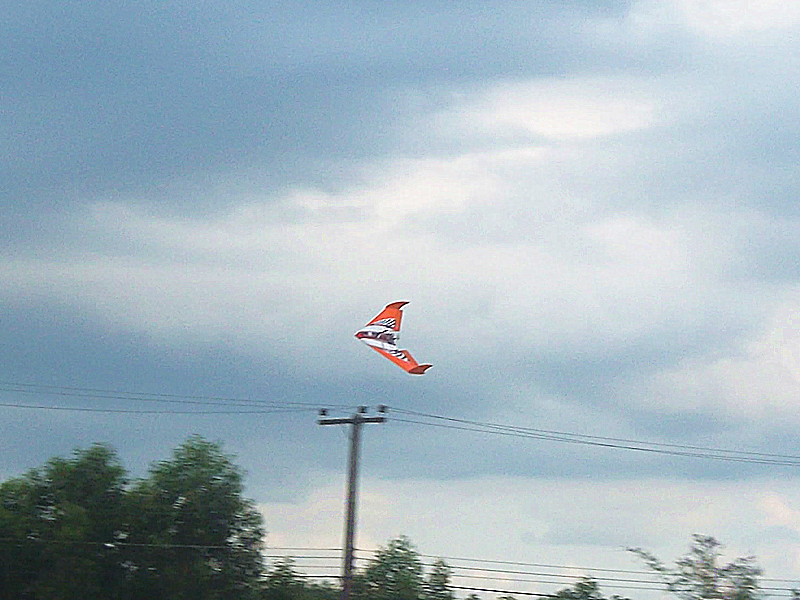 ปีกบินไฟฟ้า