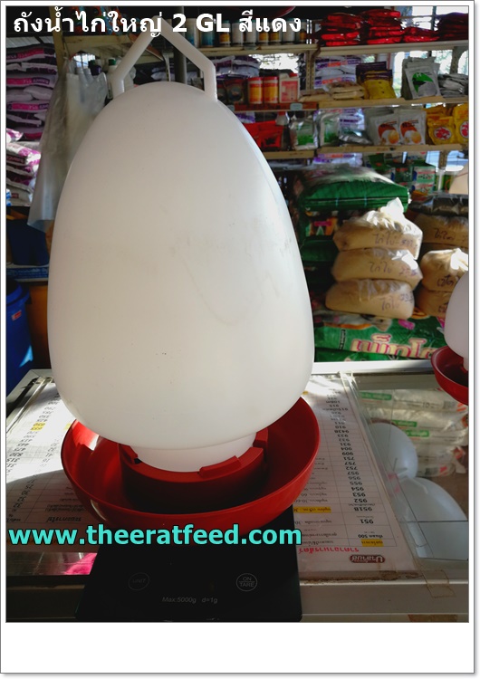 ขวดน้ำไก่ขนาดใหญ่ 2gl (8 ลิตร) สีแดง