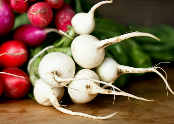 White Radish Radishes Globe Vegetable(30) เมล็ดราดิส สีขาว 30 เมล็ด