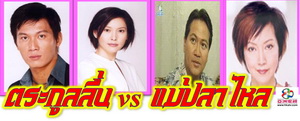 ตระกูลลื่นแม่ปลาไหล ATV นำแสดงโดย เจิ้นจื้อเฉียง,หลีหว่นหัว,หลิวจื่อหย่ง,หวังเห่วย 4 แผ่นปลงจากม้วนวีดีโอชัด94%