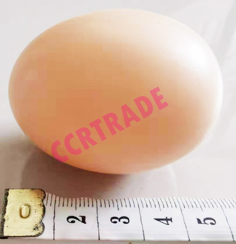 ไข่ไก่ 12 ฟองถุงตาข่าย 16 ซม.