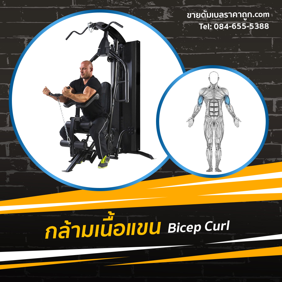 Home Gym รุ่น IRON 980