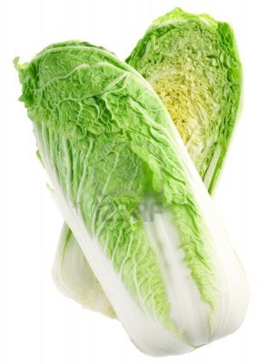 ผักกาดหางหงส์ Chinese Cabbage-Michilli