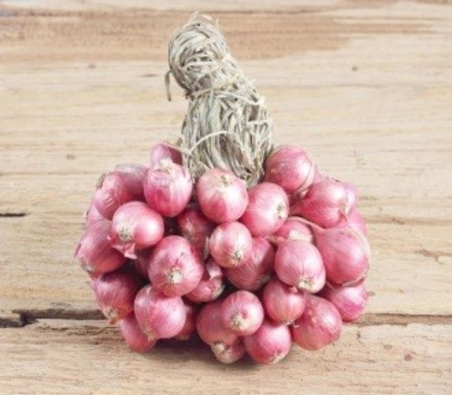 หอมหัวแดงออแกนิค พร้อมปลูกหรือรับประทานได้เลย