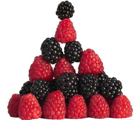 Blackberry Seeds 5 เมล็ดแบล็คเบอร์รี่ 5 เมล็ด