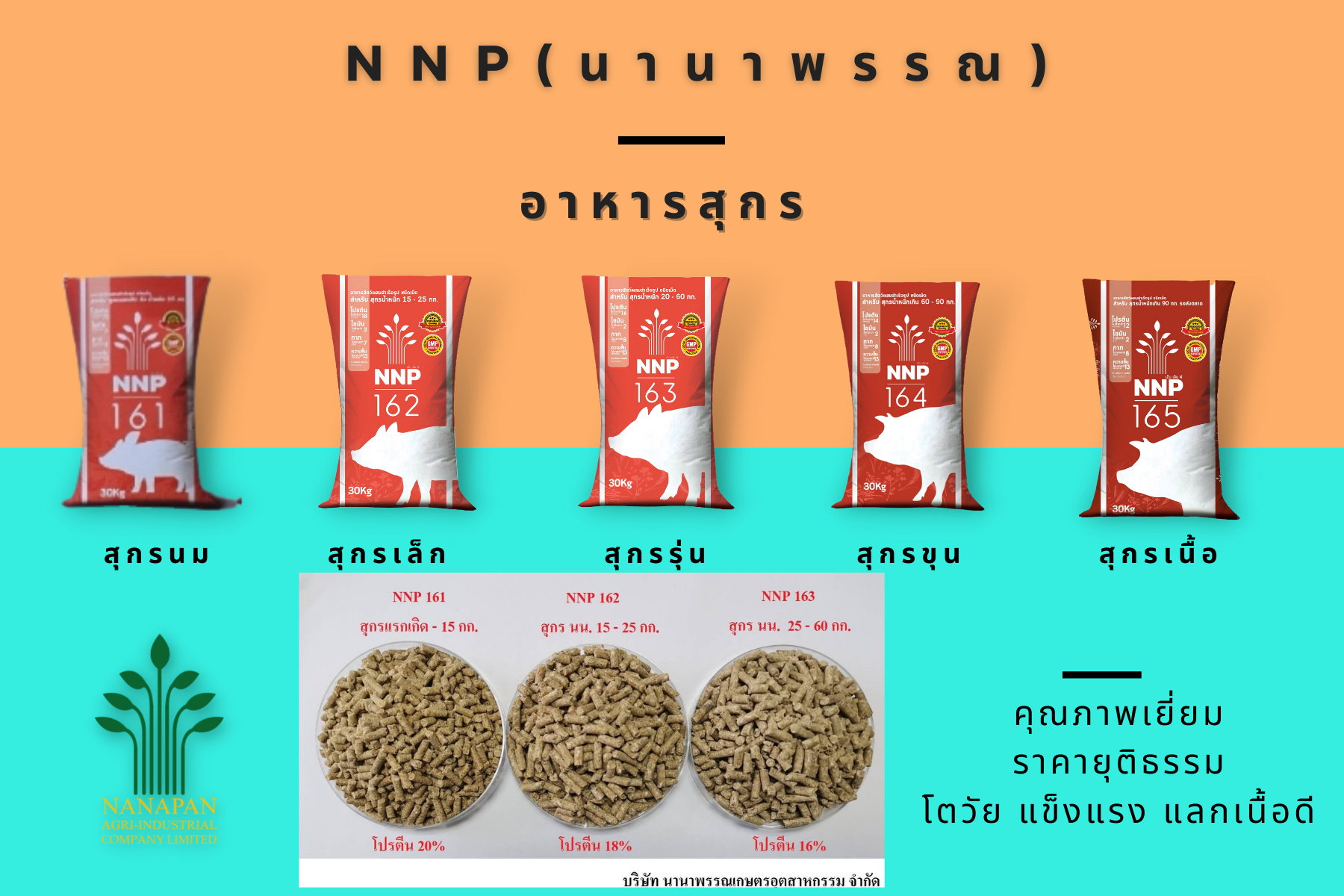 อาหารสุกรเล็ก นานาพรรณ 163 สำหรับหมูเล็ก น้ำหนัก 30-60 กก. บรรจุ 30 กก. NNP 163