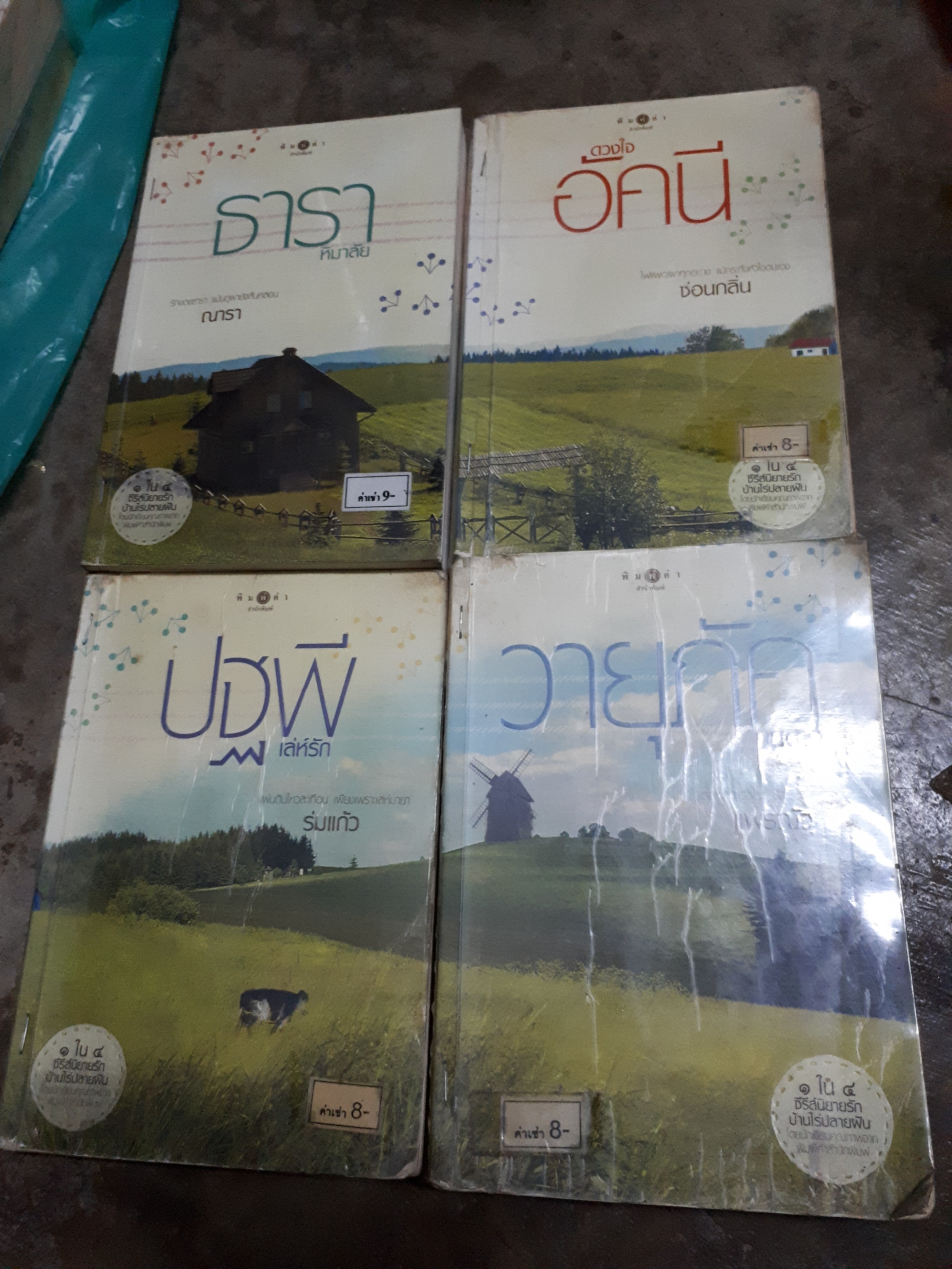 ชุด บ้านไร่ปลายฝัน