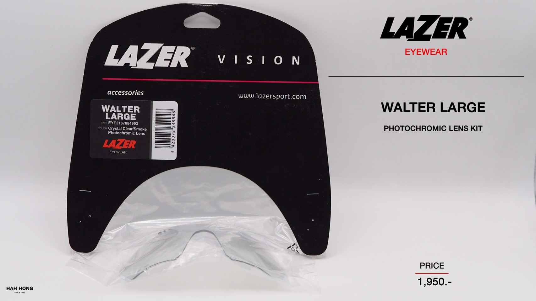LAZER แว่น WALTER LARGE