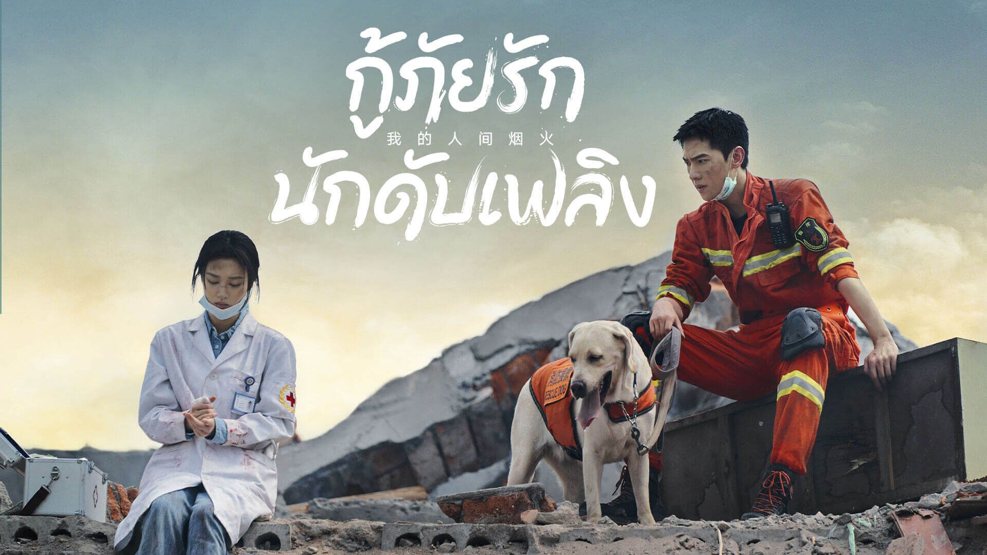 กู้ภัยรัก นักดับเพลิง Fireworks of My Heart นำแสดงโดย หยางหยาง, หวังฉู่หรัน, จางปินปิน, จางเยว่ 6 แผ่น