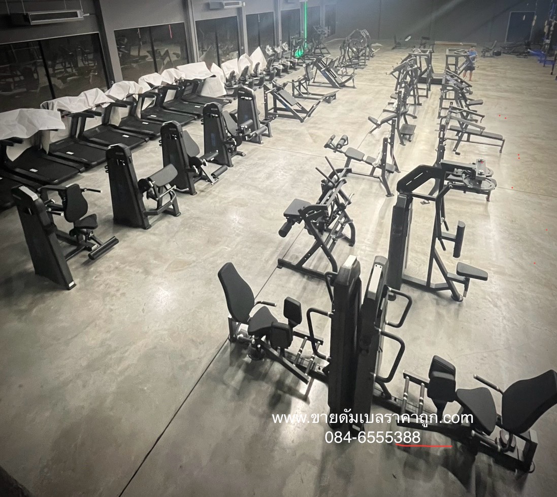 Fitness : Elite Gym แม่สอด