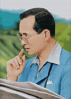 ในหลวงทรงงาน (ภาพใหญ่)