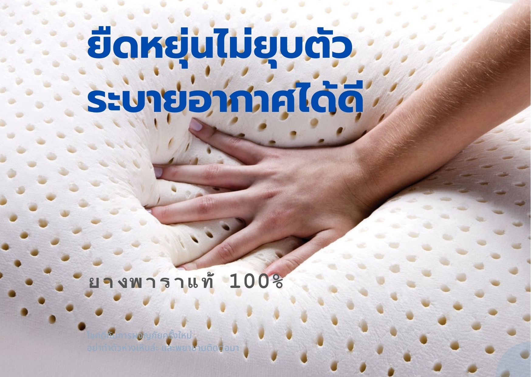 Rehab หมอนยางพารา เพื่อสุขภาพ รุ่น Standard Queen นอนหลับสบายตลอดคืนไม่ปวดคอ