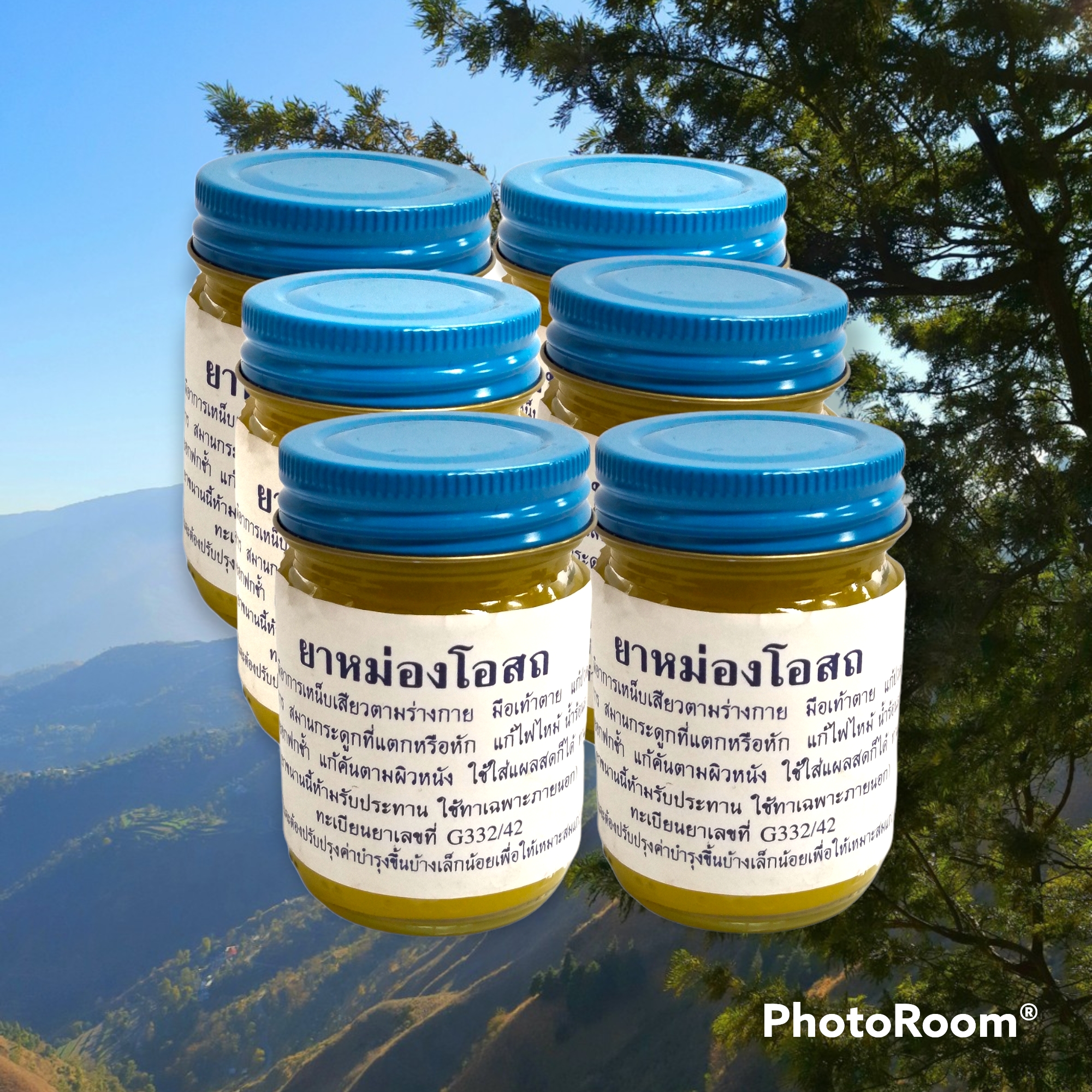 ยาหม่องโอสถ วัดโพธิ์ น้ำหนักสุทธิ 50 กรัม/ขวด (Pack 6 ขวด)