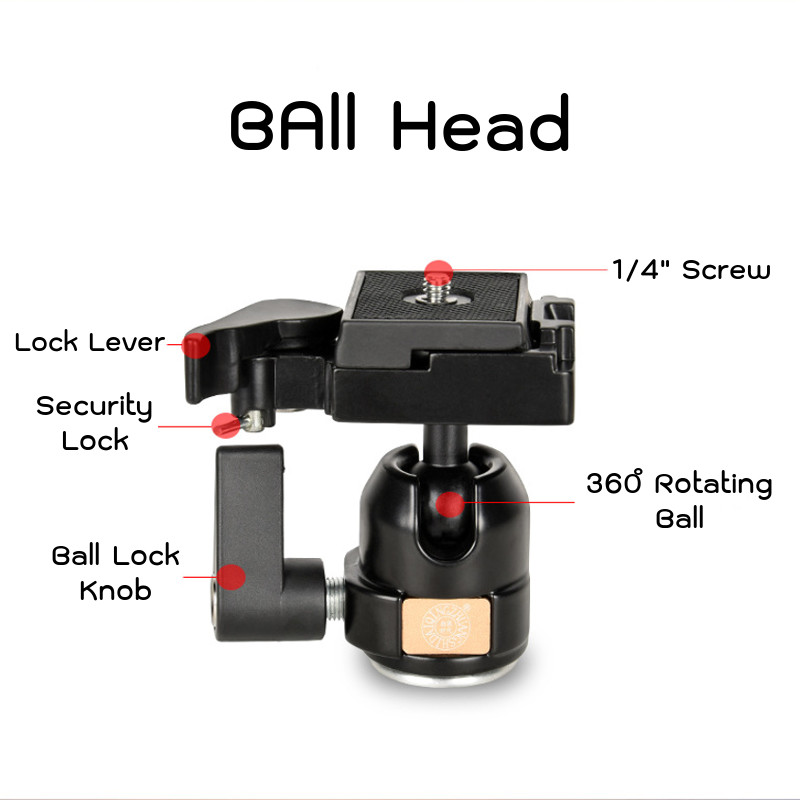 QZSD Tripod รุ่น Q-308 Q308 ขาตั้งกล้อง พร้อมหัวบอล หนักเพียง 1.3 กิโลกรัม รับน้ำหนักได้ถึง 5 กิโลกรัม