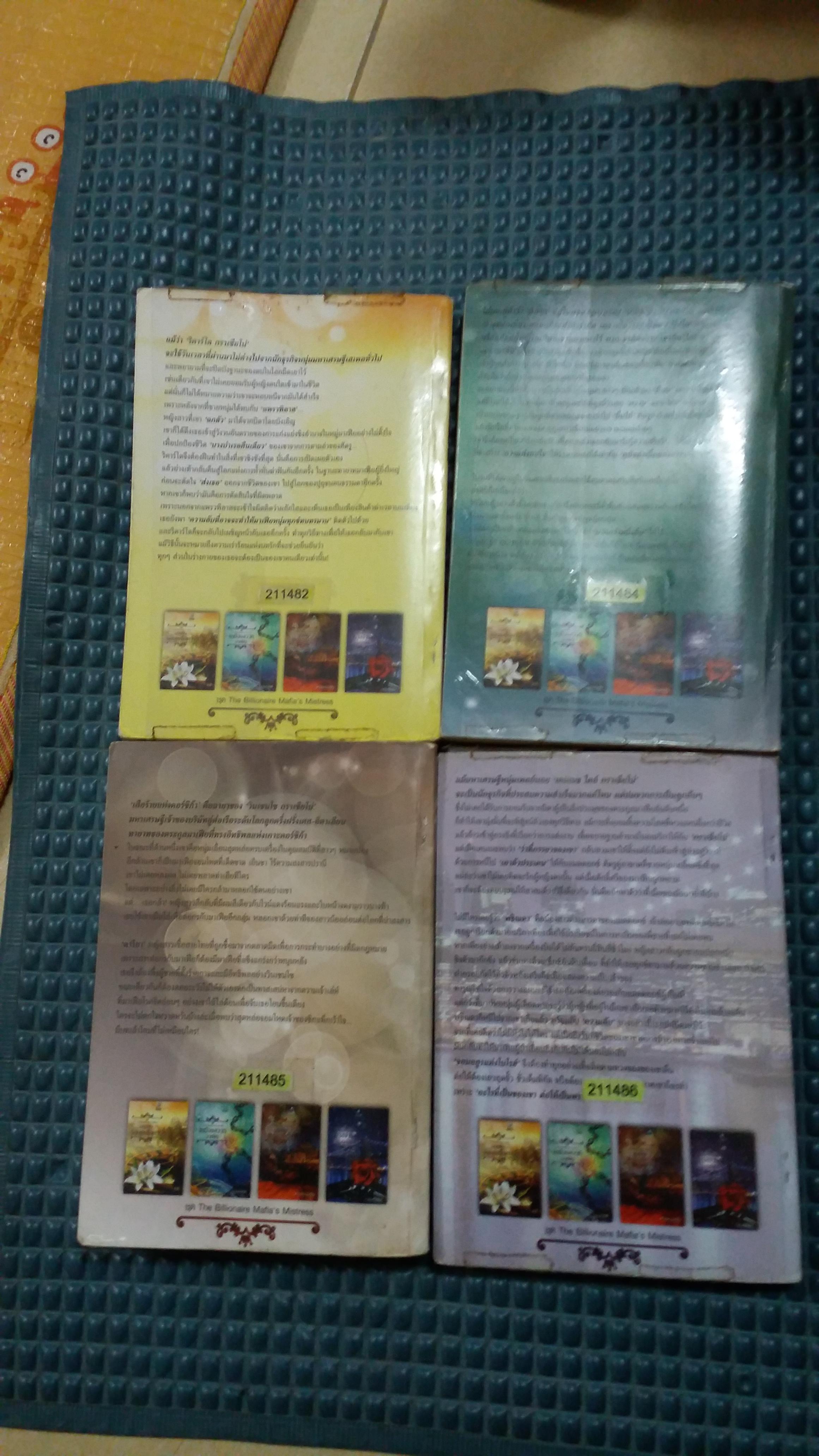 ชุด The Billionaire Mafia's Mistress