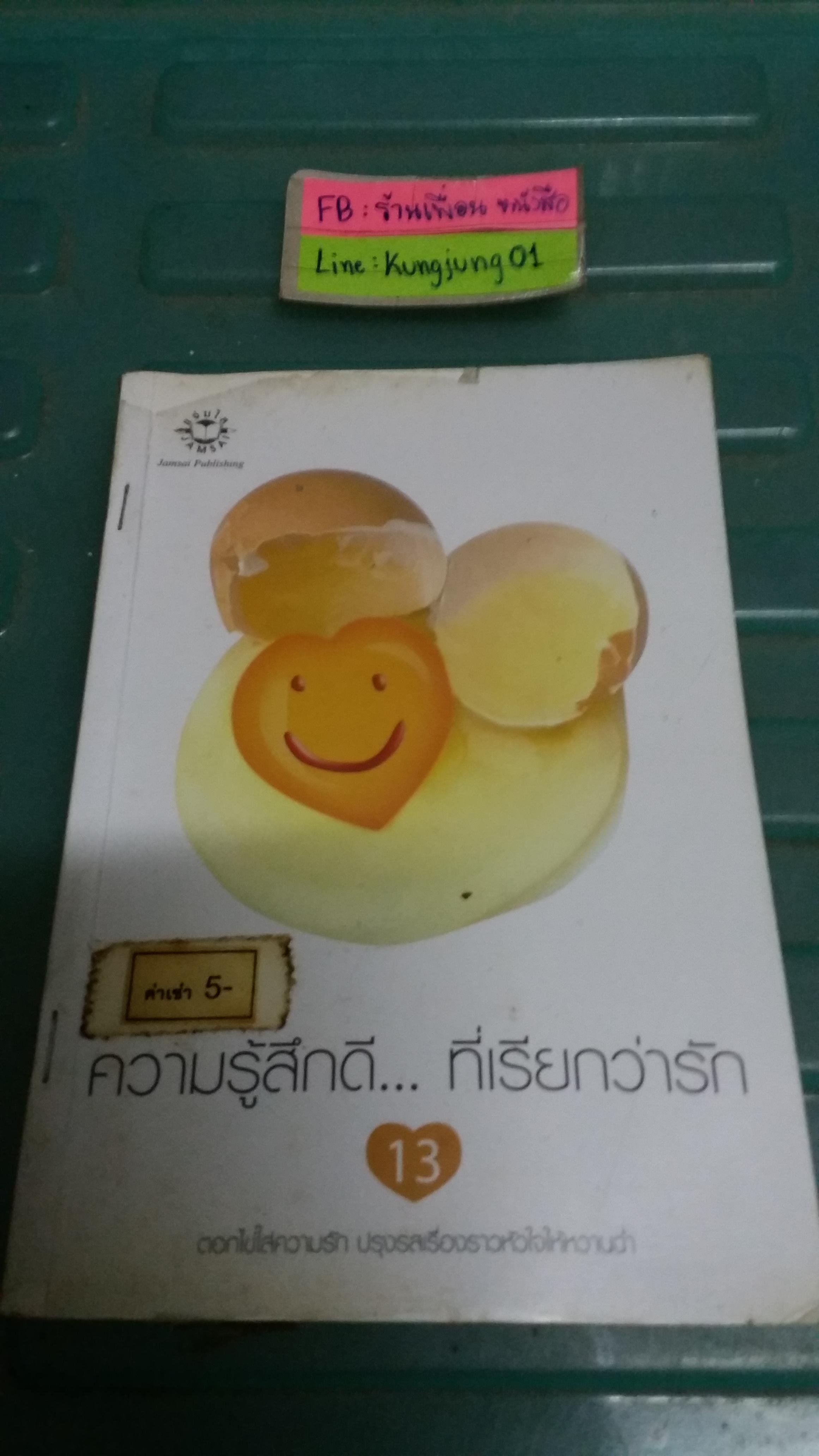 ความรู้สึกดีที่เรียกว่ารัก 13