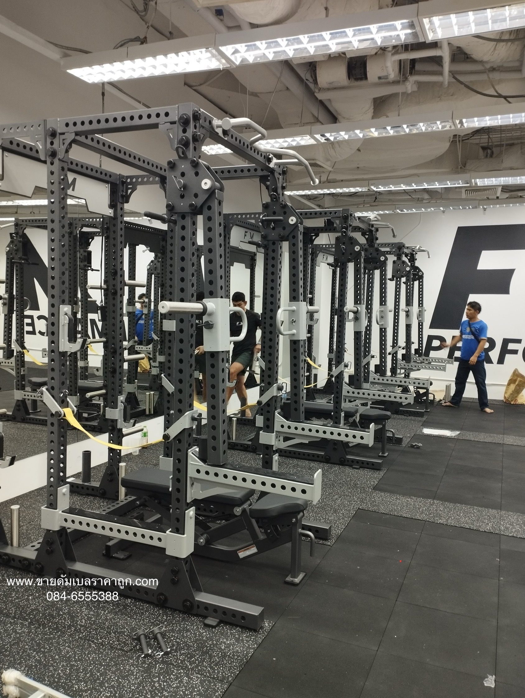 Gym Free Of Movement