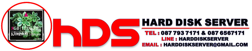 KINGSTON Compact Flash Card (CF) 1GB 133X