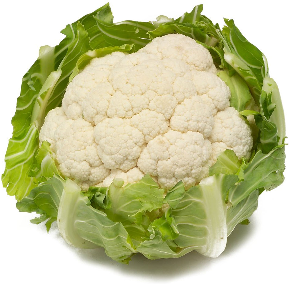 กะหล่ำดอก Cauliflower