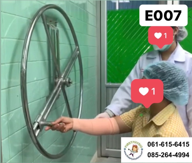 วงล้อบริหารหัวไหล่และแขนแบบติดผนัง/E007