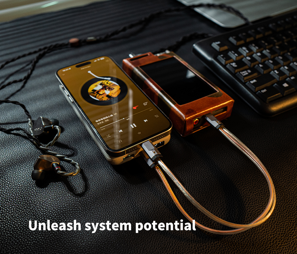 luxury & precision WY1 สาย Y สำหรับ DAP ต่อกับหางหนู โดยใช้แหล่งจ่ายไฟแยก แก้ไขการกินแบต เสียงดีขึ้น