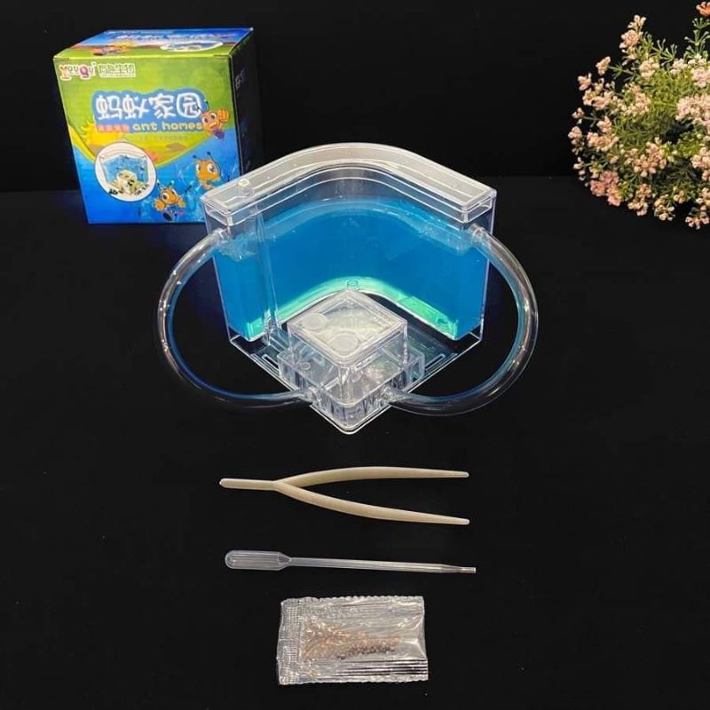 บ้านมด บ้างเลี้ยงมด ที่เลี้ยงมด 🐜ค่าส่งถูก❤️พร้อมส่งจาก กทม ❤️ส่งไวมากคะ