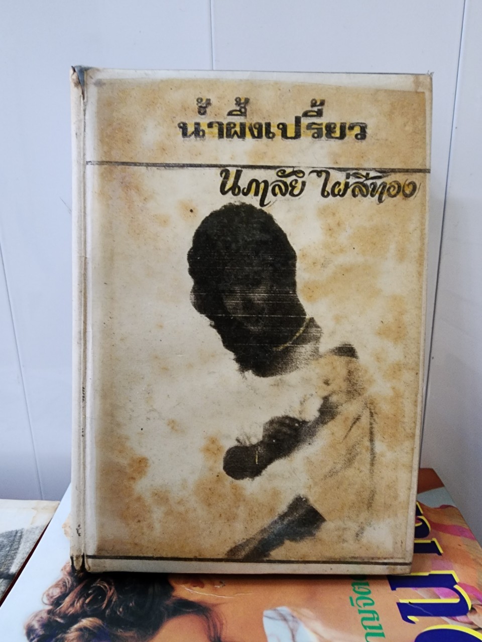น้ำผึ้งเปรี้ยว /นภาลัย ไผ่สีทอง