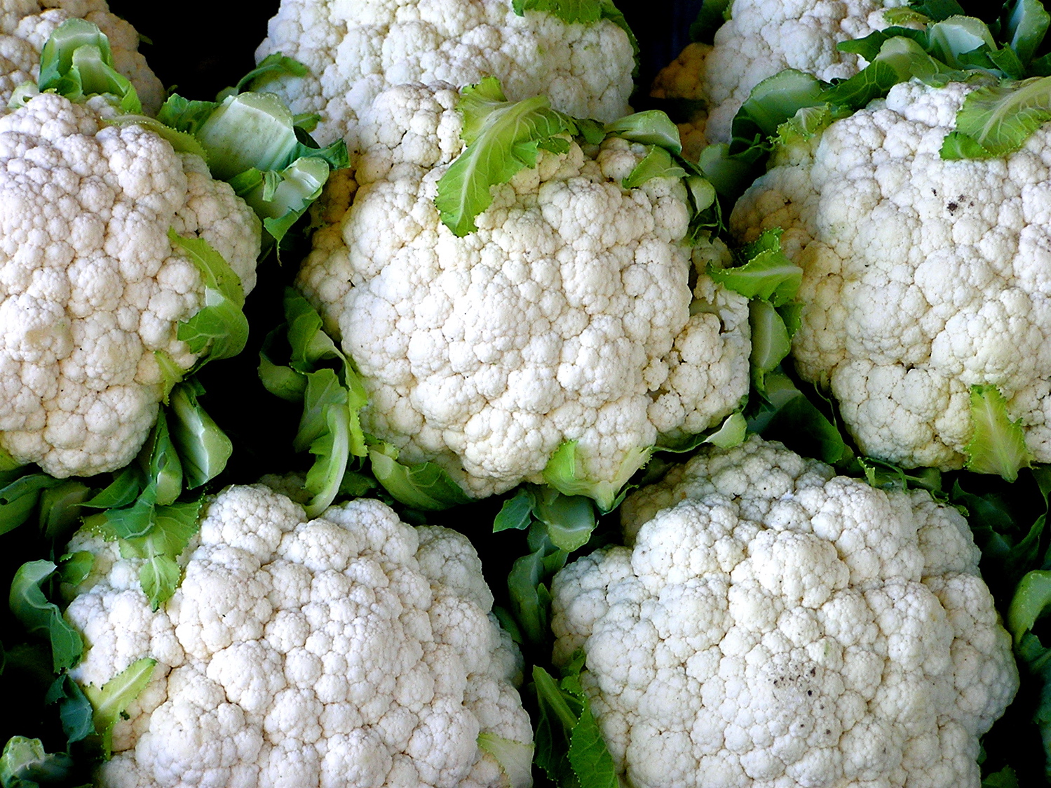 กะหล่ำดอก Cauliflower