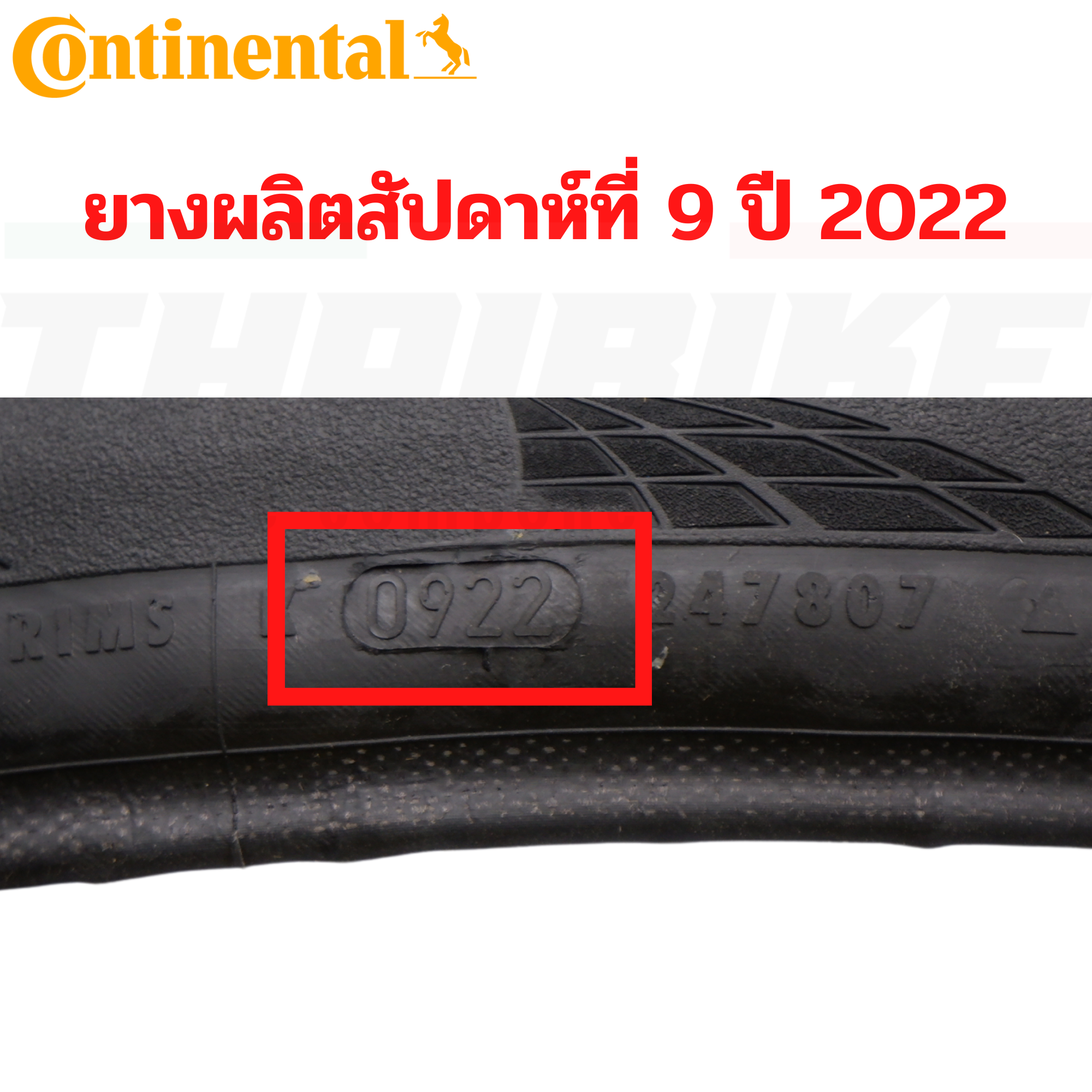 ยางนอกจักรยานเสือหมอบ Continental Grand Prix GP5000 tire 700x23/25/28