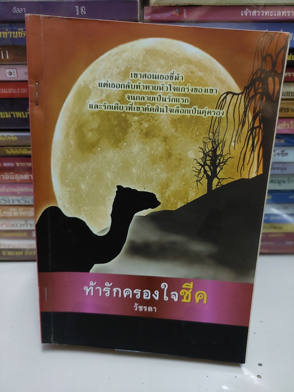 ท้ารักครองใจชีค /วัชรตา