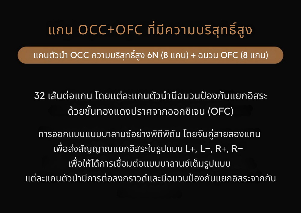Cayin CS-35C35ii/CS-44C44ii สายเชื่อมต่อสัญญาณเสียง ความบริสุทธิ์สูง ประกันศูนย์ไทย