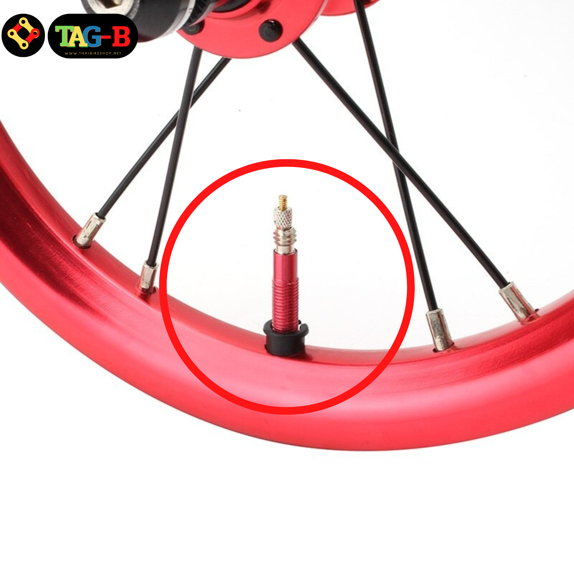 2 ชิ้น อแดพเตอร์แปลงขอบล้อจุ๊บใหญ่เป็นจุ๊บเล็ก ยี่ห้อ TAG-B | Valve Adapter