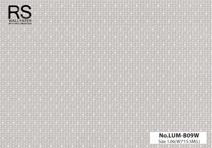 วอลเปเปอร์ ลายวินเทจ No.LUM-B09W