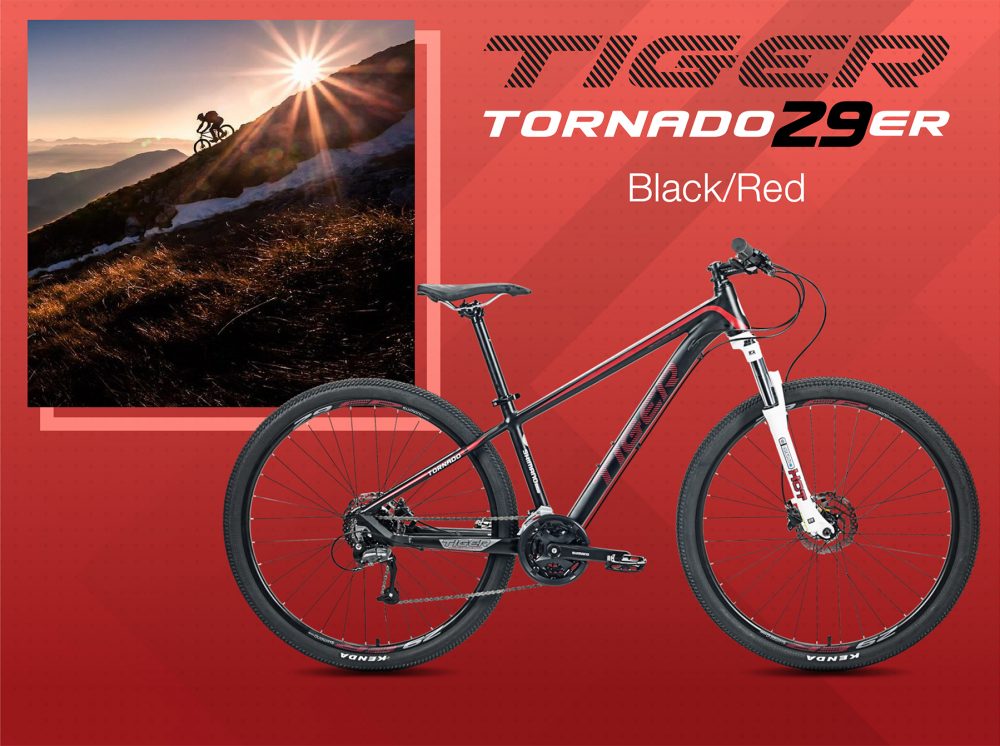จักรยานเสือภูเขา TIGER TORNADO 29 ER