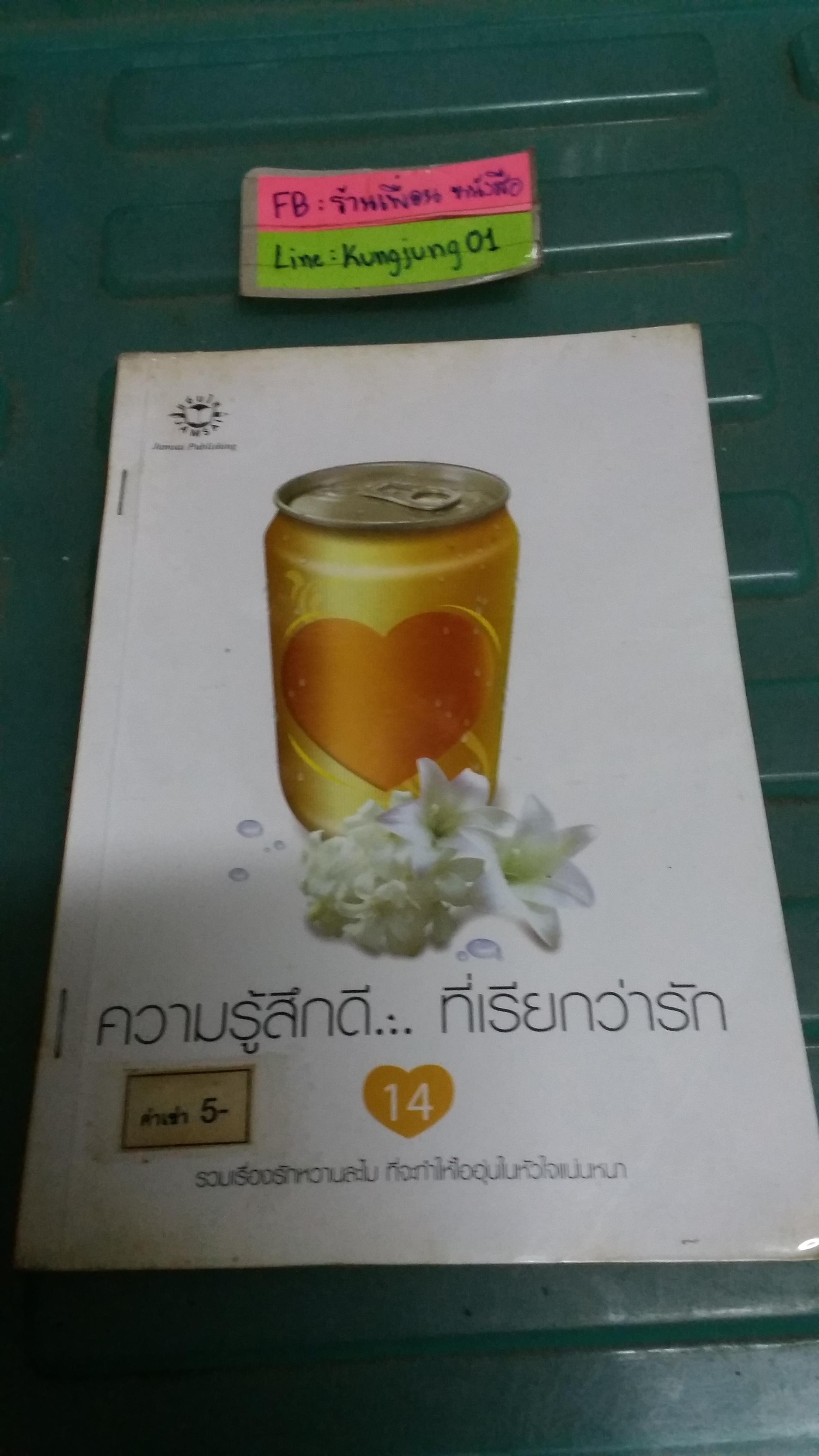 ความรู้สึกดีที่เรียกว่ารัก 14