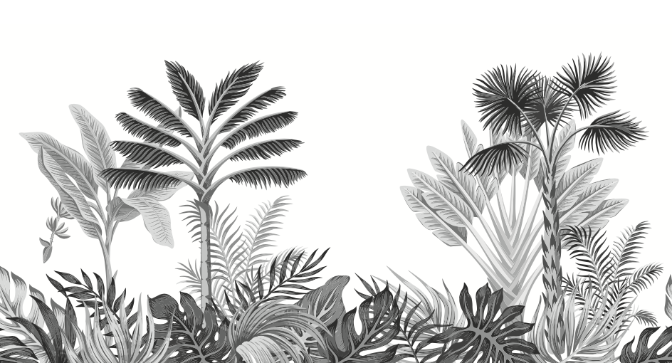 วอลเปเปอร์ภาพป่าเขตร้อน Tropical (สั่งผลิต)