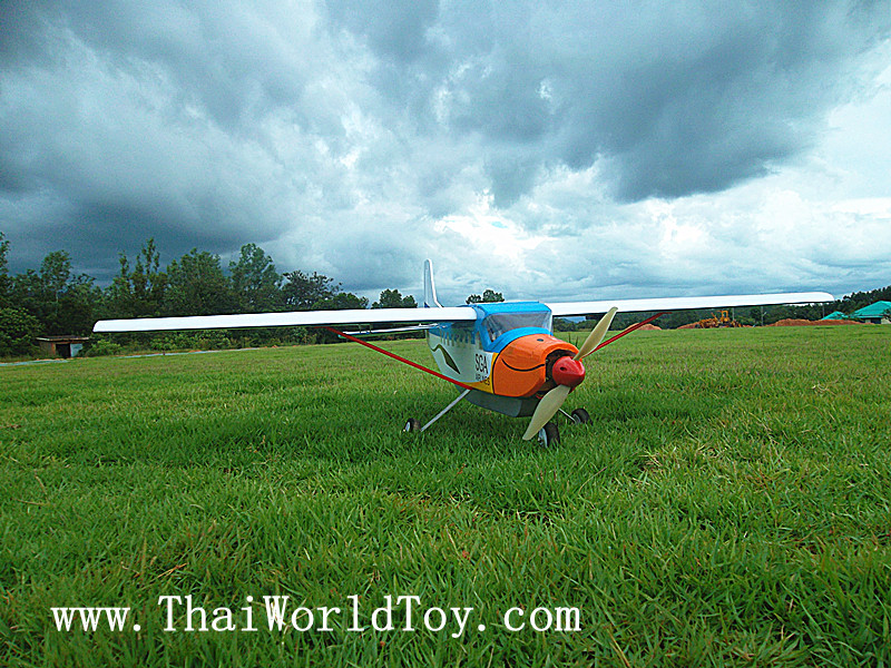 CESSNA นกแอร์ caravan