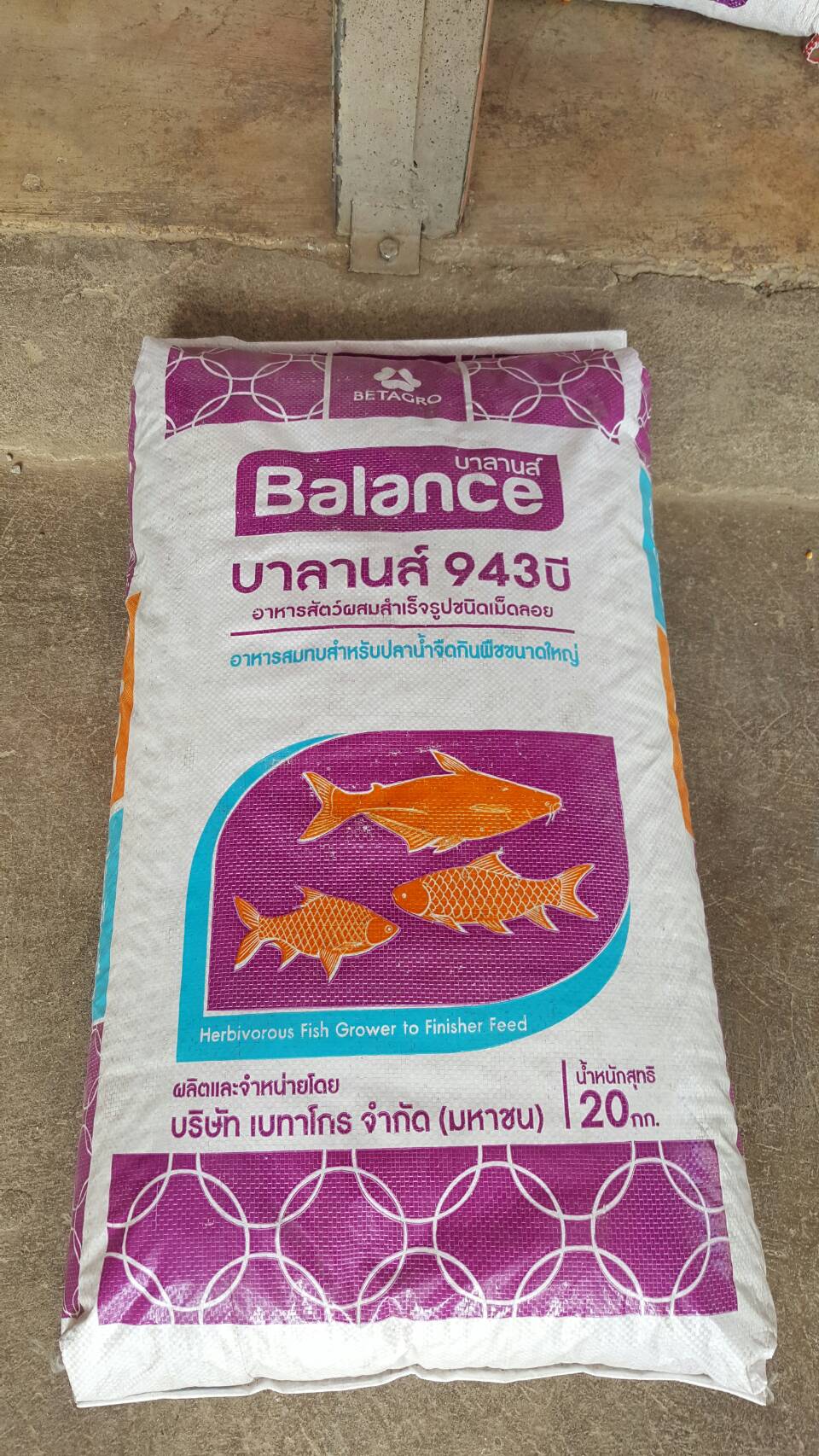 BALANCE FEED อาหารปลากินพืชใหญ่ บาลานส์ 943B โปรตีน 15.5 %
