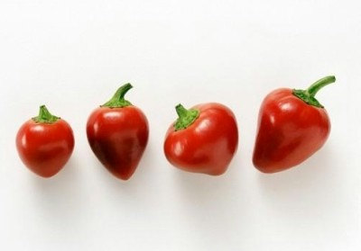 Hot Cherry Bomb Peppers