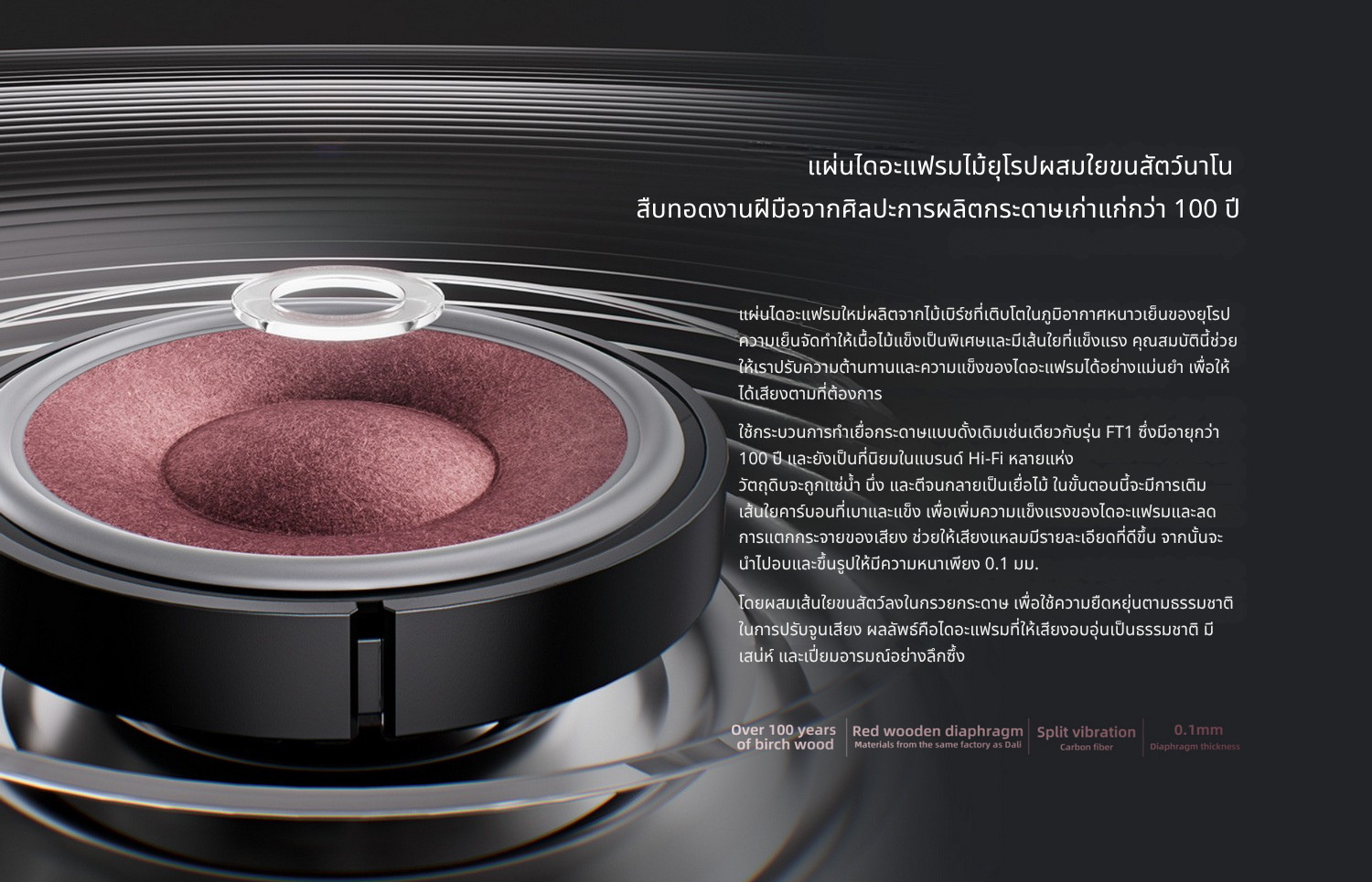 FiiO FT13 หูฟังเฮดโฟนบอดี้ไม้ สัมผัสหรูหรา คุณภาพเสียงที่เป็นเอกลักษณ์ ประกันศูนย์ไทย